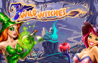 Wild Witches